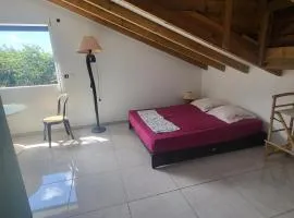 Chambre indépendante calme pour femmes, en forêt, 1km plage