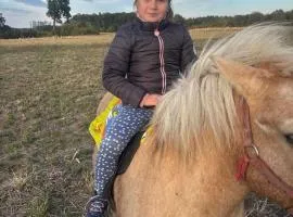 Brvnara Radisavljevic Sikole