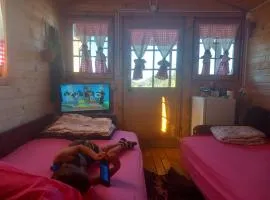 Brvnara Radisavljevic Sikole