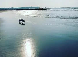 Camping Fun - Vacation STAY 27499v