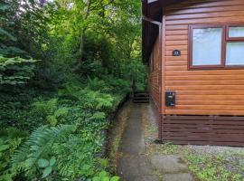 Nyth y Dryw, Hotel in Machynlleth