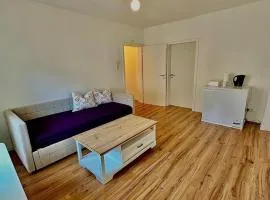 2-room apartment with attached bathroom No Kitchen