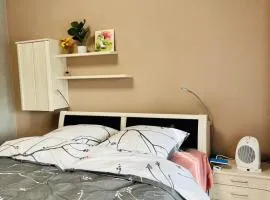 2-room apartment with attached bathroom No Kitchen