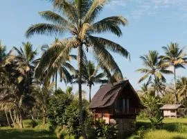Tetebatu Rice field bliss