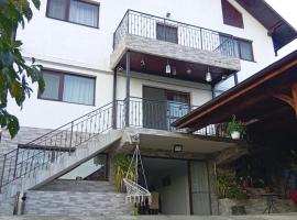 Casa RiAn, ξενοδοχείο σε Drăgăneasa