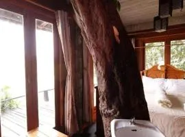 P&P Coffee & Resort Maesariang