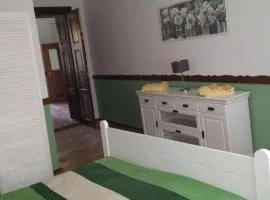 Luxury Central apartment in Sibiu