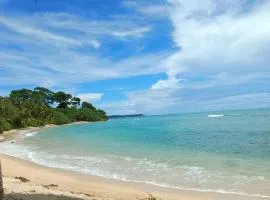 MALLICK PALACE NEIL Island