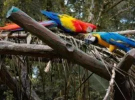 OYO Home 90416 Exclusuites