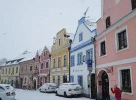 Modrá růže Třeboň