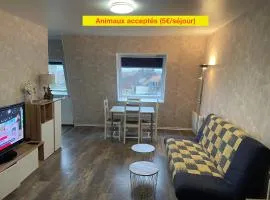 Grand studio Centre-ville avec ascenseur