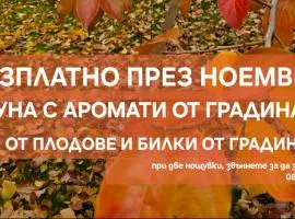 Galeria In The Garden