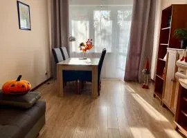 Apartament na Saperskiej