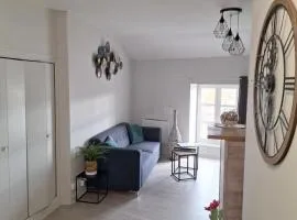 Charmant F2 centre Issoire avec jolie Vue Sancy et Livradois- WiFi