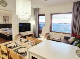 Ylläs Chalets IX 9502