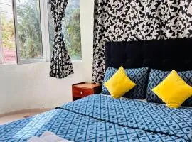 Jolie appartement calme avec cheminée & bois