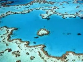 Tropical Mango House Stay