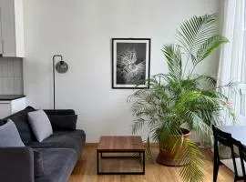 Luxury Apartment in Central Geneva