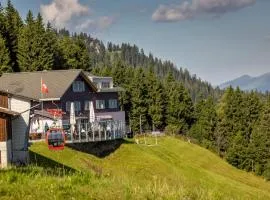 Berggasthaus Gummenalp