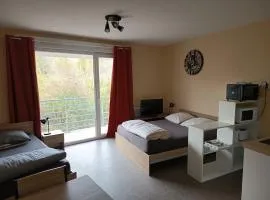 Grand Studio 4 couchages proche Université et CHU