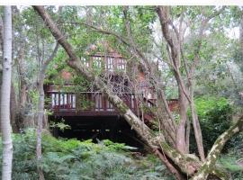 Peaceful Forest Getaway in Natures Valley，位于自然谷的酒店