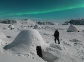 Igloo Lodge