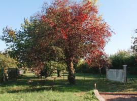 Appartement Jungle Cosy - Bureau & Fibre - Proche Futuroscope, Hotel in Jaunay-Clan