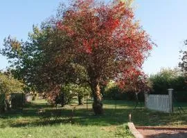 Appartement Jungle Cosy - Bureau & Fibre - Proche Futuroscope