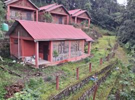 Home away from Home, cottage in Viswema