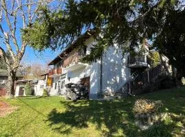 We rent a nice cozy house in a pleasant nature