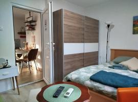 Vila Raj, ubytování s možností vlastního stravování v destinaci Gornja Toplica