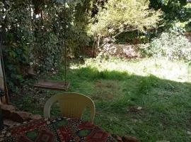 דירת נופש צימר אירוח בצפת צפון קרוב למקווה ורשבי