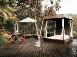 Bruma Forest El Retiro, el abrazo de la naturaleza