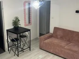 Appartement Bron proche eurexpo et hôpitaux