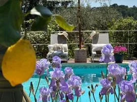 Les Pervenches Cottages - B&B en Lorgues