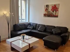 Grand appartement en centre ville