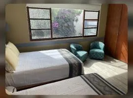 Habitaciones Coyoacan (UNAM)