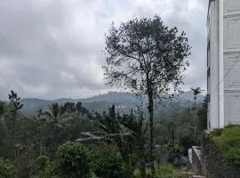 Haze Munnar Homestay