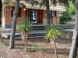 Mas Oliver de Mas Pujol