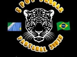 Spot Jaguar Pantanal South Lodgen wild Jaguar Tour