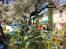 La Picholine en Provence