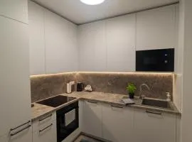 SADBA Apartment, 1-4 guests, Free Parking & Wifi, 15 min from Downtown