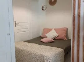 La parenthèse Brognonnaise