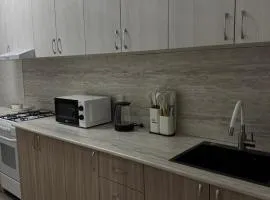 Однокомнатная квартира 453