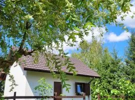 Sielsko Anielsko Uniejów- domki całoroczne