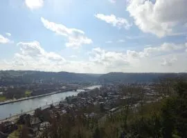 Gîte du Bois Marie Vue exceptionnelle Piscine Salle de jeux 12 pers