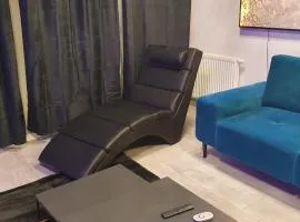 Elegant Apartments FREE PARKING