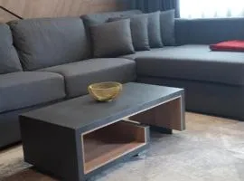 Tara Panorama - Vila Bor Lux Apartment