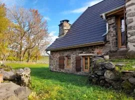 Gîte rénové pour 4 pers. avec accueil équin, Saint-Front - FR-1-582-538