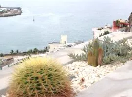 Terrasol con Cactus Monsenor